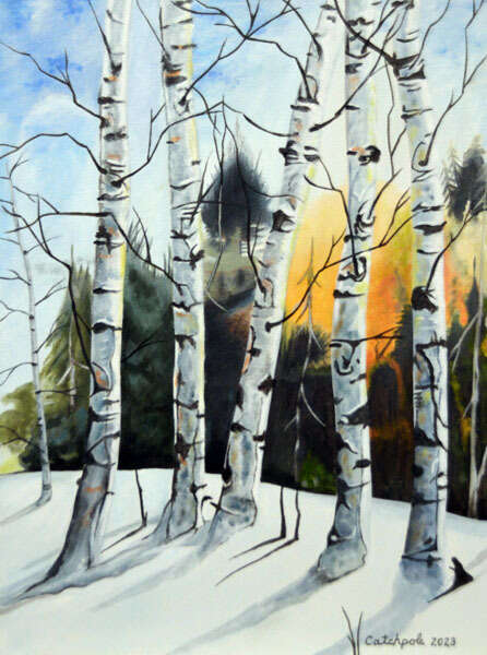 Winter Birch 1