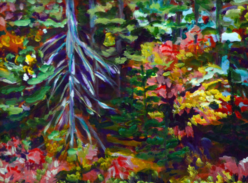 Algonquin Colours