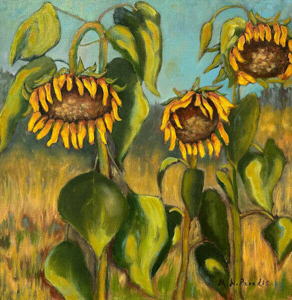 Sunflowers