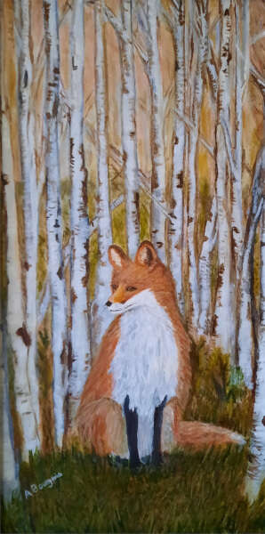 Red Fox in Fence Row