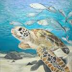 Sea Turtle & Friends