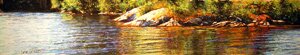 Waters Edge by Dave Beckett